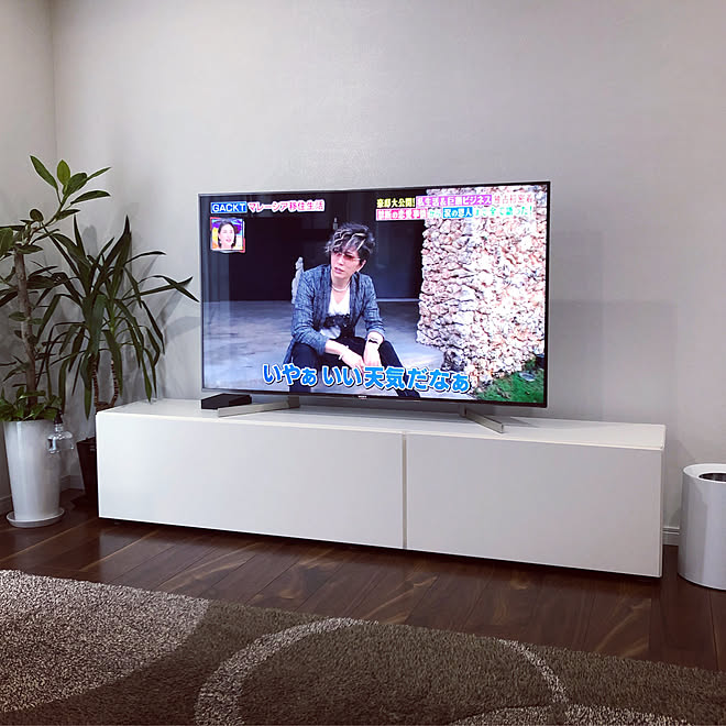 輸入 BoConcept ボーコンセプト テレビボード テレビ台 TVボード