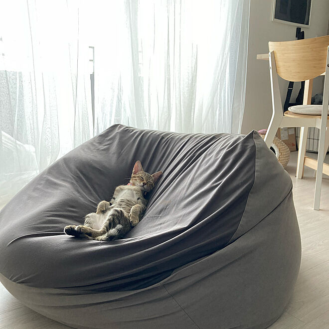 ねこと暮らす/おうち時間/猫のいる暮らし/ig→korenankore72/IKEA...などのインテリア実例 - 2021-08-02 00:14:17