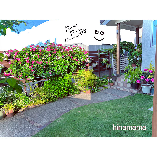 hinamamaさんの部屋