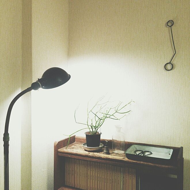 cata_coto_さんの部屋