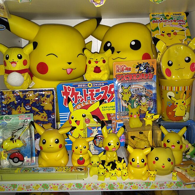 pikachu25voltさんの部屋