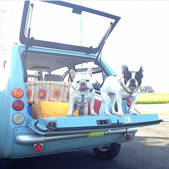 玄関/入り口/PAO/一人暮らし/犬と暮らす/いいね♪いつもありがとうございます❤️...などのインテリア実例 - 2015-11-10 10:02:29