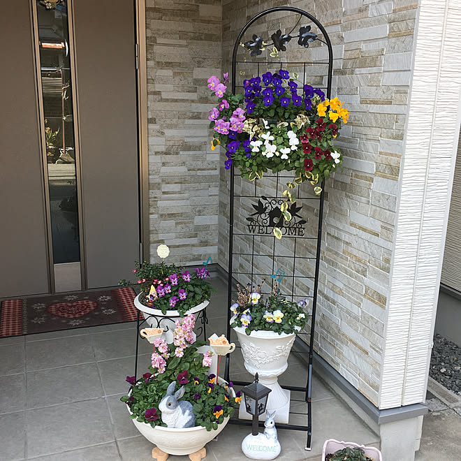 玄関ポーチ ハンギングバスケット 寄せ植え 玄関 入り口のインテリア実例 22 02 25 12 49 45 Roomclip ルームクリップ