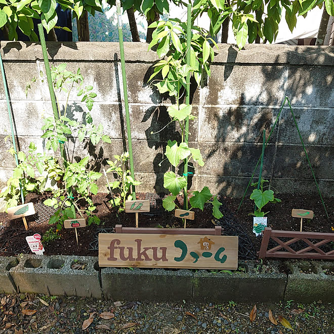 fukuさんの部屋