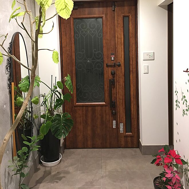 玄関/入り口/観葉植物のインテリア実例 - 2017-02-12 20:20:00