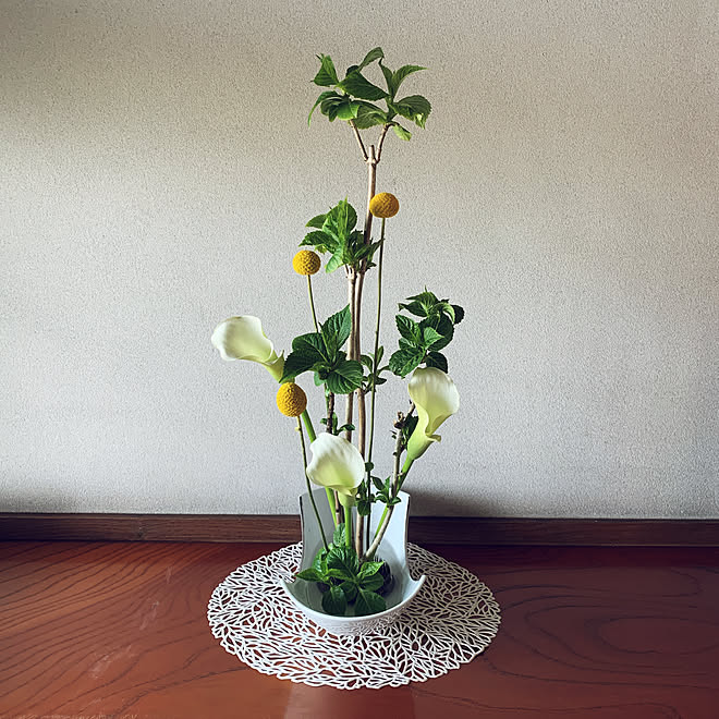 花アレンジは花との会話時間❣️/クラスペディア/白のカラー/紫陽花の新芽/無言のフォローごめんなさい!!...などのインテリア実例 - 2022-04-06 10:17:14