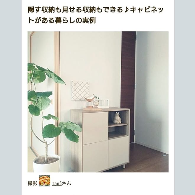 tan5さんの部屋