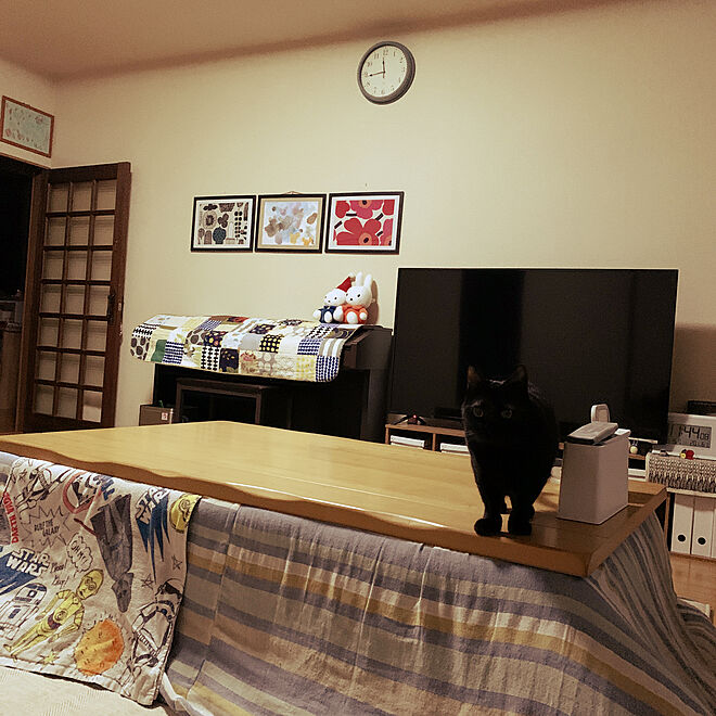 kuromiさんの部屋