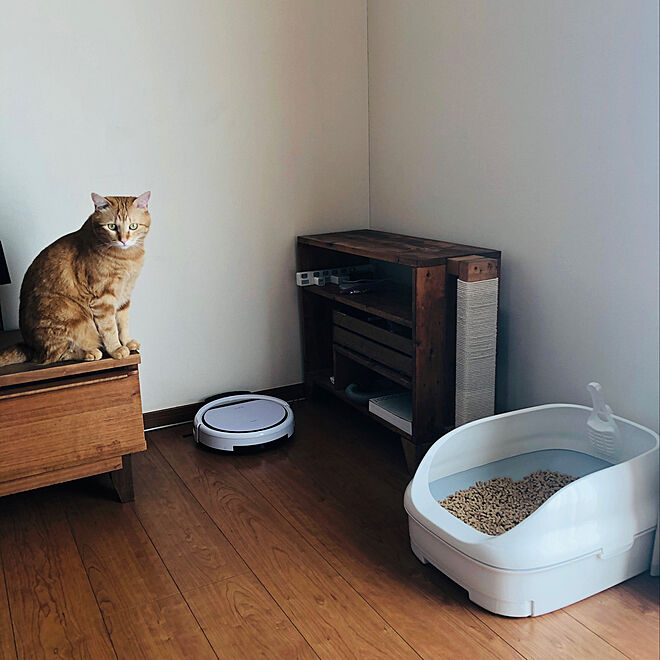 猫ちゃん想い/ニャンとも/ねこと暮らす。/ねこのいる日常/猫トイレ...などのインテリア実例 - 2020-12-02 11:19:40