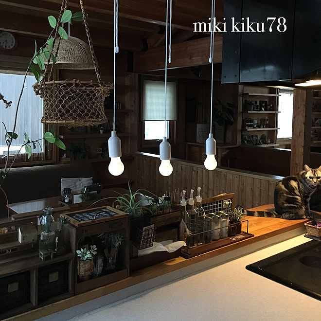 キッチン/100均だけで出来る/フェイクグリーン/Insta→miki.kiku78/簡単リメイク...などのインテリア実例 - 2017-12-22 07:44:54