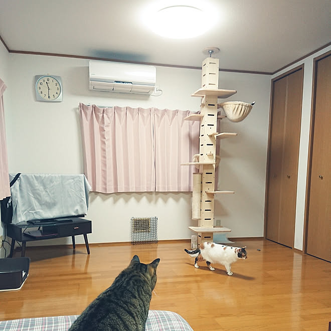 nachiさんの部屋