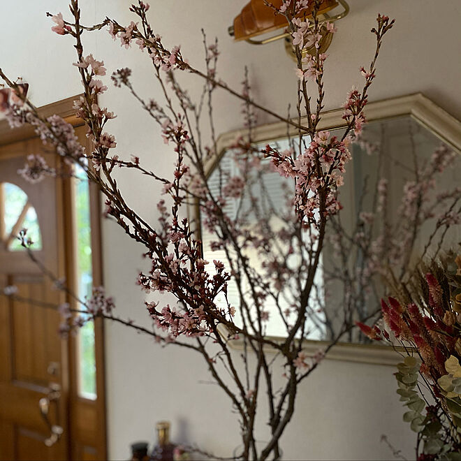 桜/春の訪れ/おうち時間/好きな物を飾る/飾り棚...などのインテリア実例 - 2021-03-08 10:42:35
