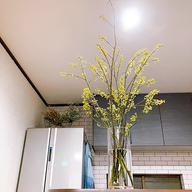 青文字 アオモジ 花のある暮らし グリーンのある暮らし 枝物 などのインテリア実例 21 02 18 22 14 10 Roomclip ルームクリップ