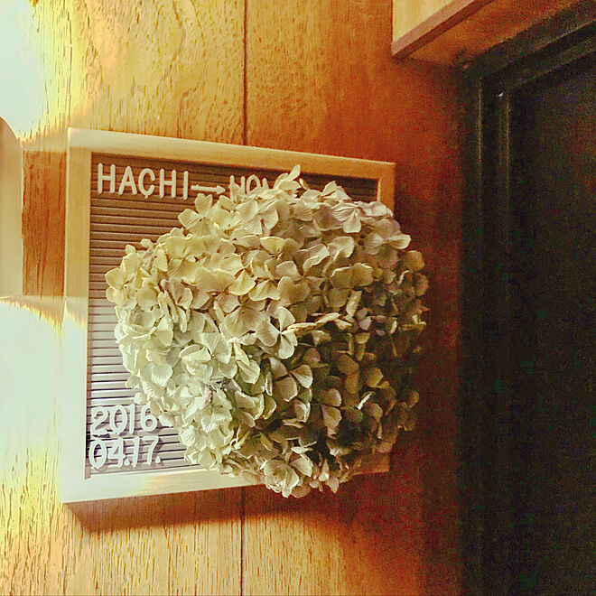 Hachi01さんの部屋