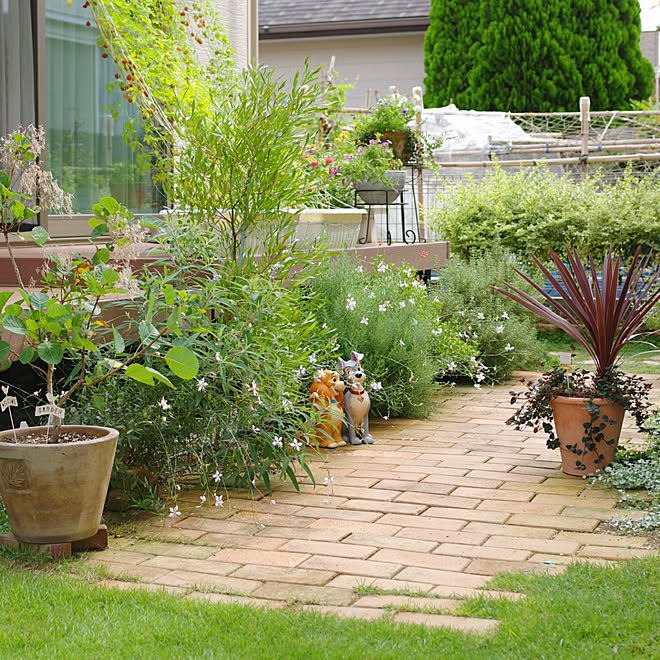 玄関 入り口 庭 手作りガーデン ガーデニング初心者 目指せナチュラルガーデン などのインテリア実例 19 09 25 16 02 16 Roomclip ルームクリップ