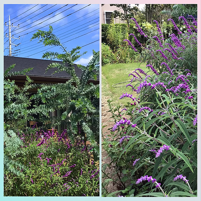 houenさんの部屋