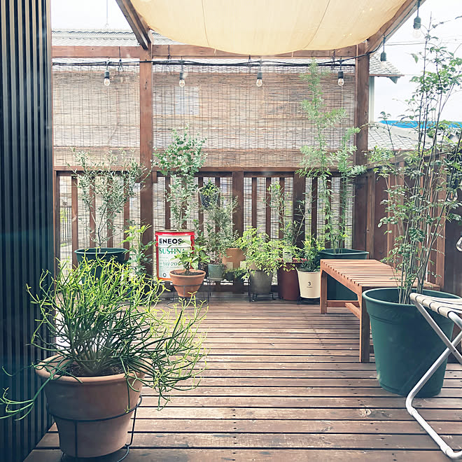 ストリングライト ベンチ 日よけシェード 目隠しすだれ 鉢植えガーデン などのインテリア実例 19 10 29 11 09 29 Roomclip ルームクリップ