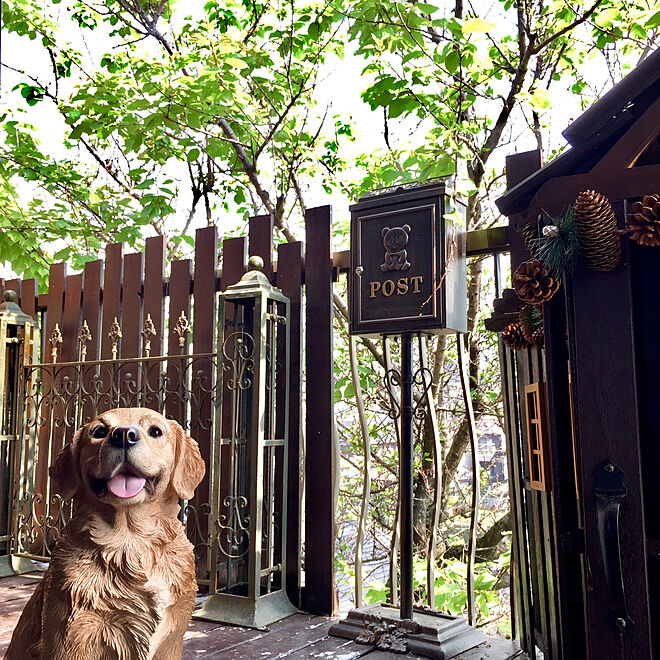 玄関/入り口/目隠しフェンス/室外機カバー/犬小屋/犬のオブジェ...などのインテリア実例 - 2018-04-23 11:38:23