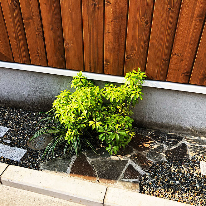 植栽スペース/玄関/入り口のインテリア実例 - 2019-07-31 22:18:52