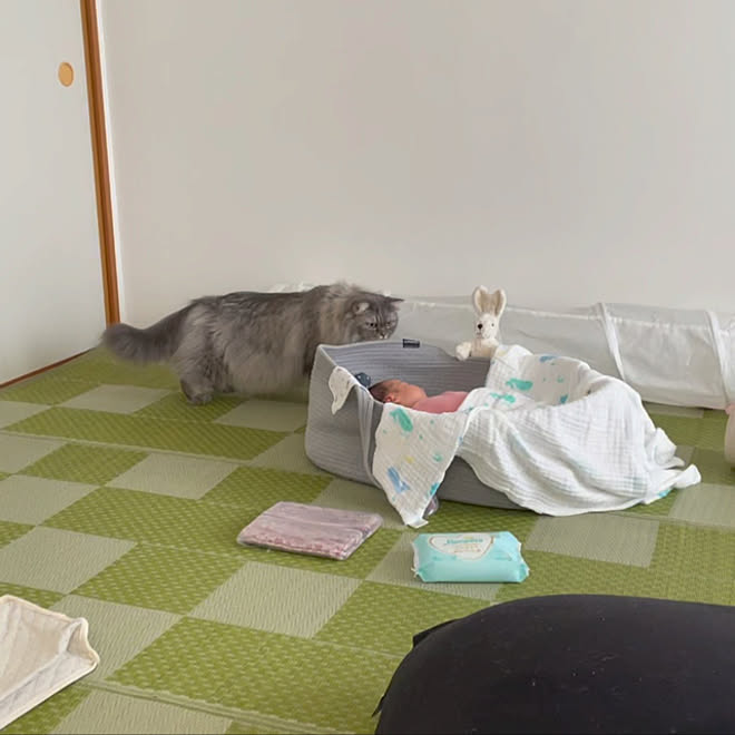 naoさんの部屋