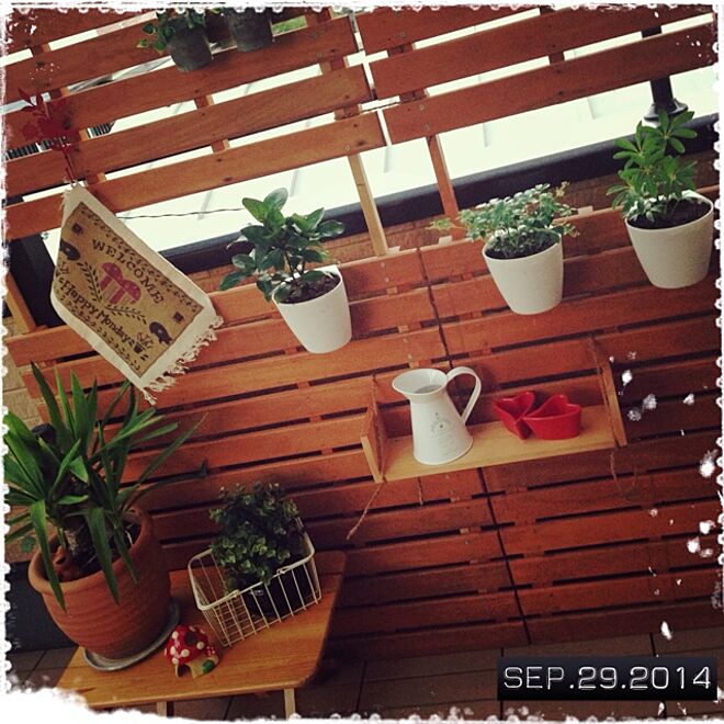 玄関/入り口/植物/DIY/IKEA/セリア...などのインテリア実例 - 2014-09-29 19:04:36