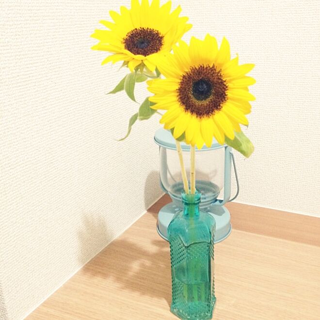 玄関/入り口/flower/Flower Base/花瓶/植物...などのインテリア実例 - 2014-08-18 11:02:06