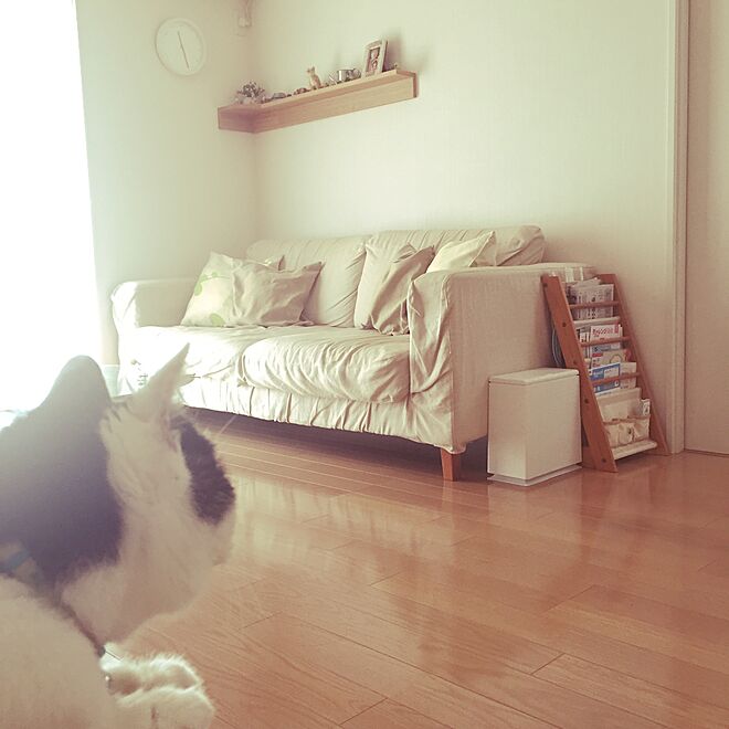 tamakichi_iさんの部屋