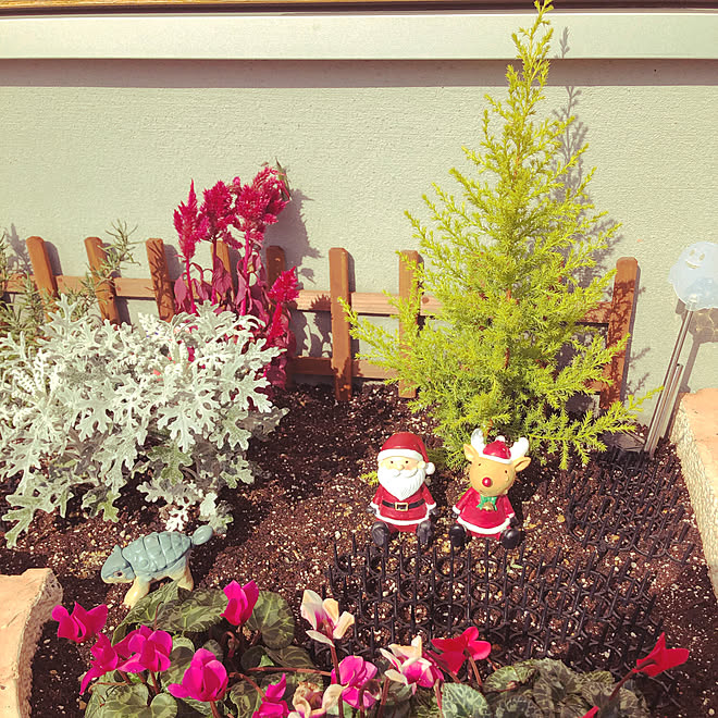 100均 ダイソー 観葉植物 ガーデニング 玄関 入り口のインテリア実例 11 03 13 05 41 Roomclip ルームクリップ