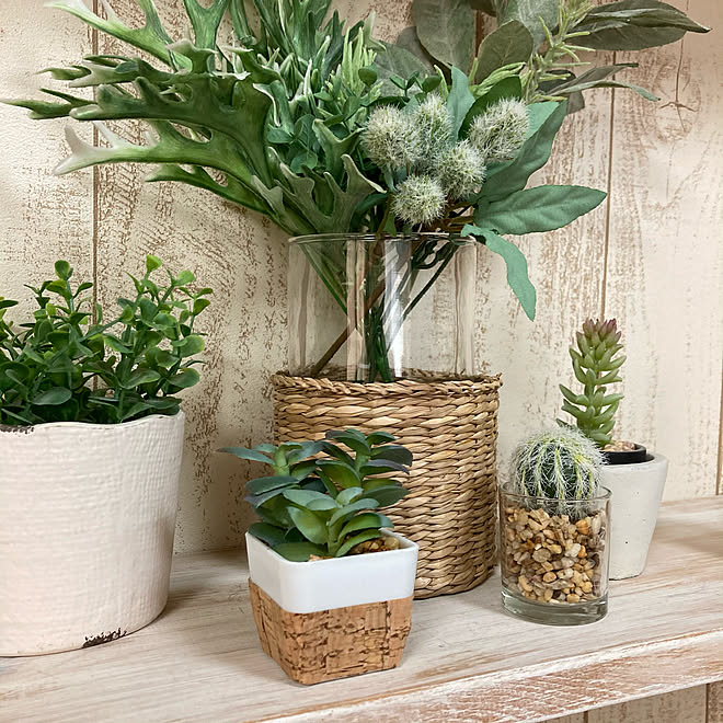 フェイク多肉 フェイクグリーン 10分でできる 100均 Seria などのインテリア実例 21 03 16 23 19 39 Roomclip ルームクリップ