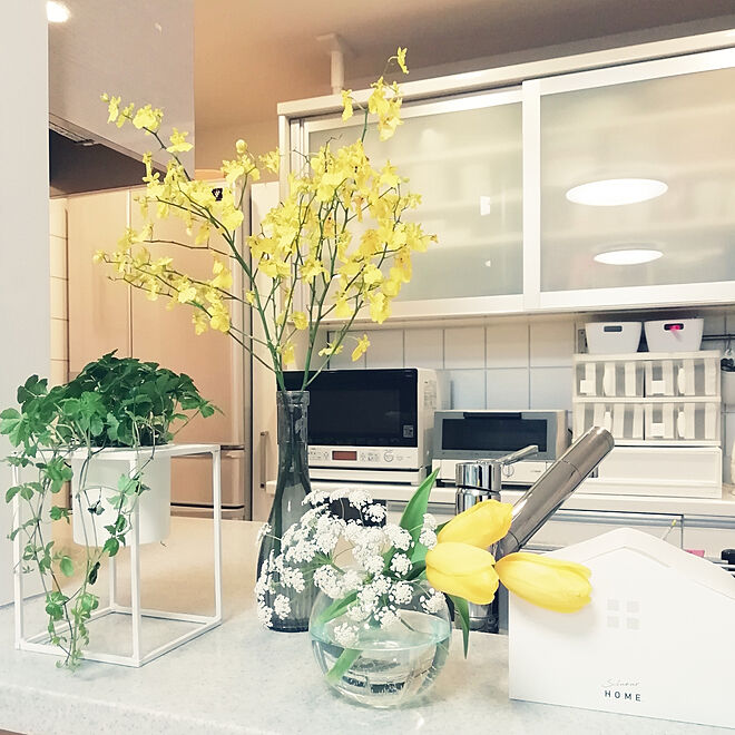 キッチン/花に囲まれて暮らしたい/花に癒される/シンプル/ホワイト　グレーのインテリア実例 - 2020-04-23 21:40:10