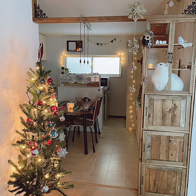 クリスマスツリー ライトアップ クリスマス 猫と暮らす 北海道の家 などのインテリア実例 22 12 24 19 41 48 Roomclip ルームクリップ