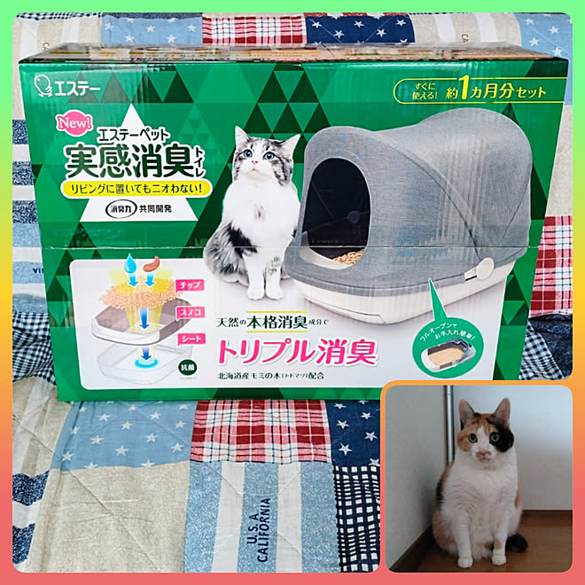 バス/トイレ/猫トイレ/ねこのいる日常/猫と暮らす家/暮らし快適化特集...などのインテリア実例 - 2022-06-08 17:09:13