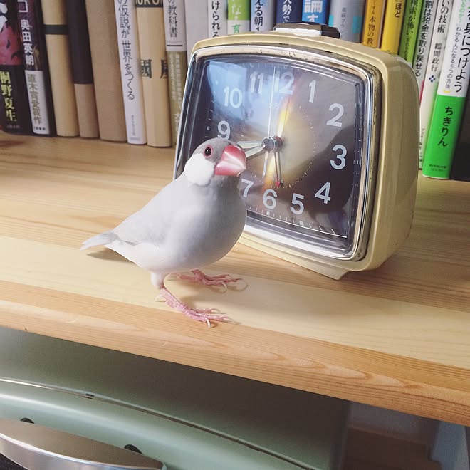 makkuさんの部屋