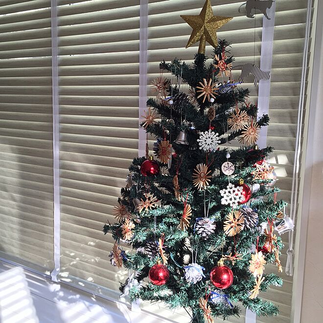 クリスマスツリーのインテリア実例 - 2014-11-23 17:21:05