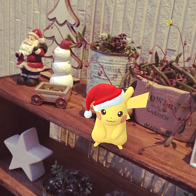 玄関/入り口/ピカチュー/クリスマス/ポケモンGOのインテリア実例 - 2016-12-17 00:54:43