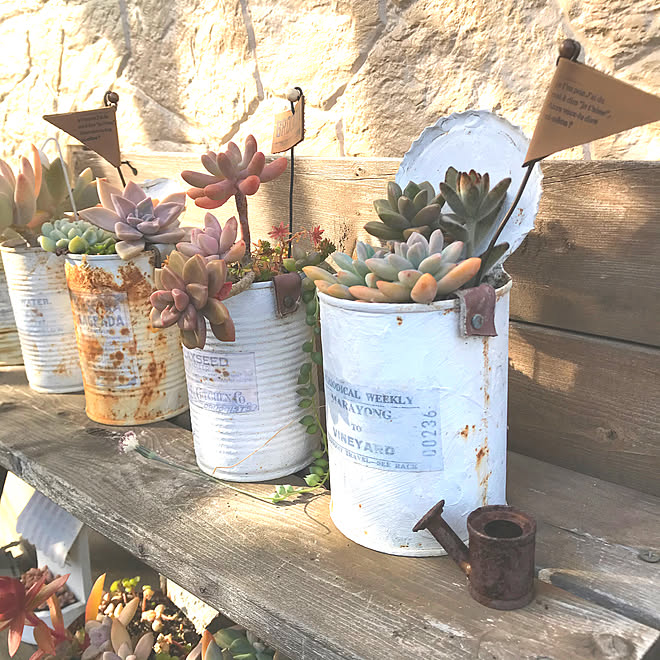 ガーデンピック ガーデニング雑貨 ガーデニング 多肉寄せ植え 多肉植物 などのインテリア実例 01 11 21 17 58 Roomclip ルームクリップ