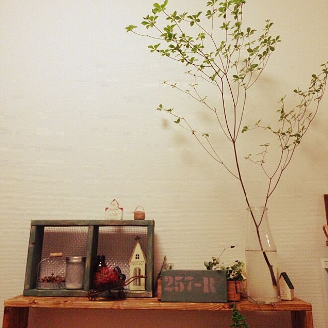 リビング/植物/DIY/雑貨/手作りのインテリア実例 - 2014-05-29 22:01:44