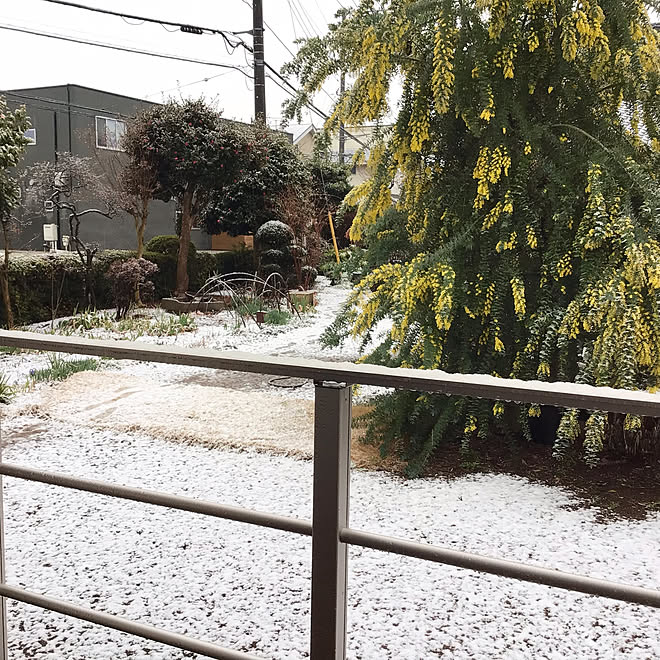 houenさんの部屋