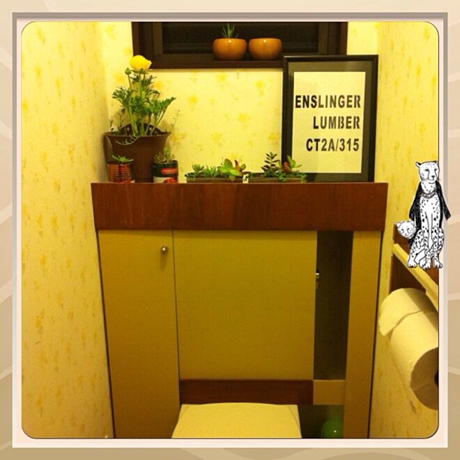 バス/トイレ/DIY/多肉植物/ハンドメイド/植物...などのインテリア実例 - 2014-03-07 23:03:24