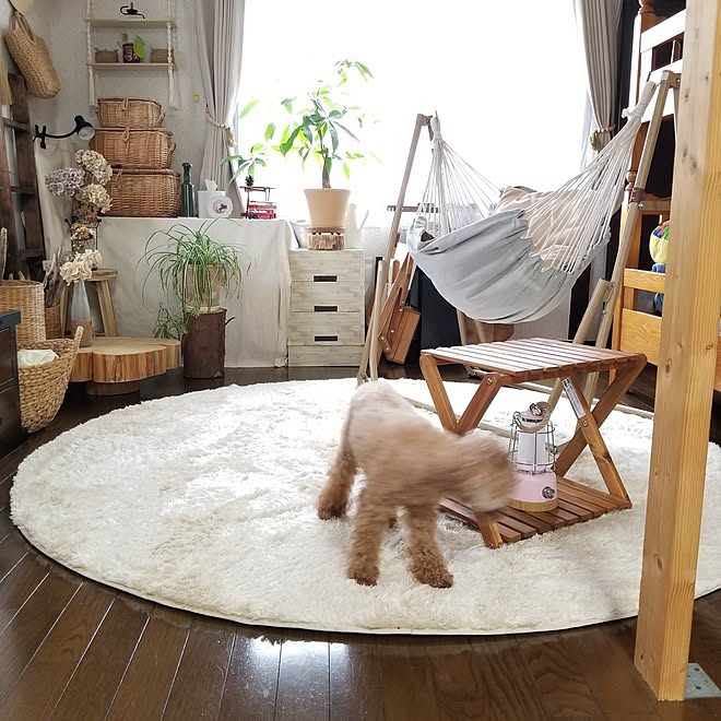 midoriさんの部屋