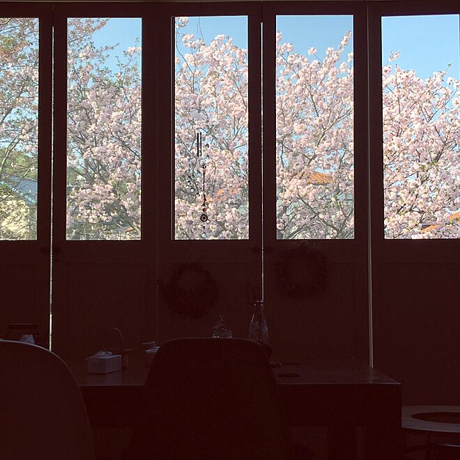 玄関/入り口/八重桜/リース部/窓からの景色/桜...などのインテリア実例 - 2017-04-19 07:52:04