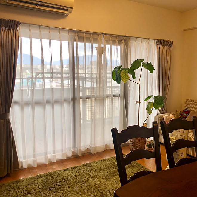 フジエテキスタイル 遮光2級カーテン 夏と機能性カーテンカーテンで