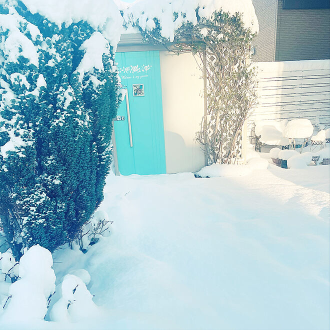 庭/雪景色/ナチュラル/DIY/玄関/入り口のインテリア実例 - 2022-12-02 12:41:02