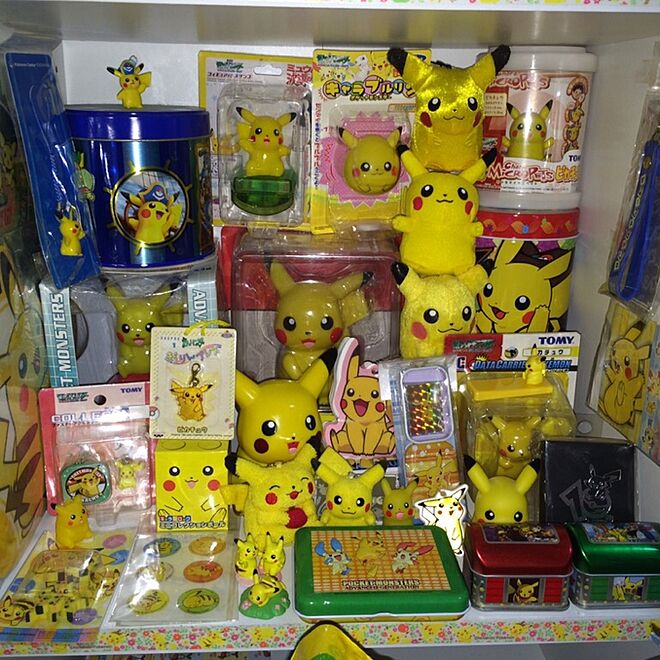 pikachu25voltさんの部屋