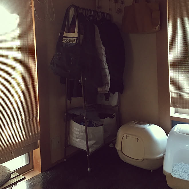 junbuさんの部屋