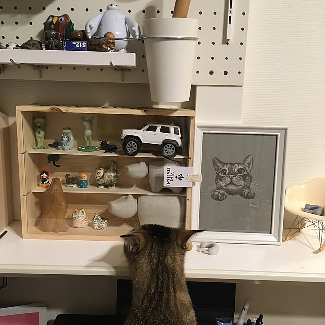 mikomaruさんの部屋