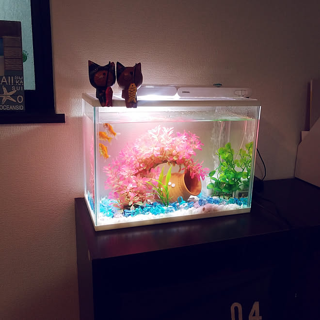 夜のリラックスタイム カラーボックス 金魚水槽 金魚と暮らす ライトスタンド などのインテリア実例 18 09 01 16 43 46 Roomclip ルームクリップ
