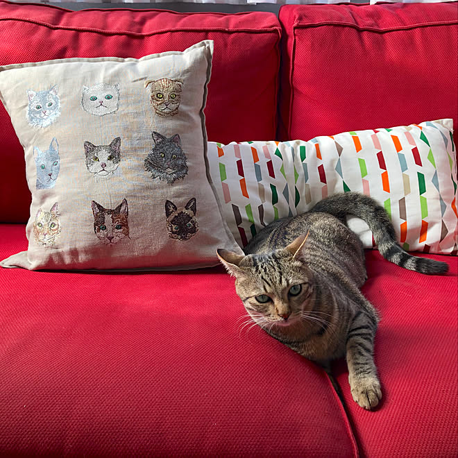 新品】CORAL & TUSK クッションカバー 動物 CORAL＆TUSK 好し コーラル