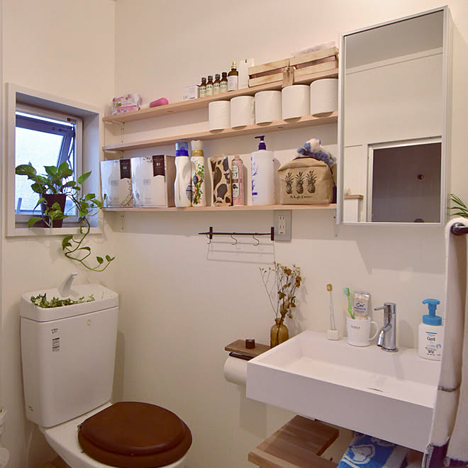 ポトス 洗面所 トイレ 団地暮らし 観葉植物 などのインテリア実例 19 06 26 18 50 54 Roomclip ルームクリップ