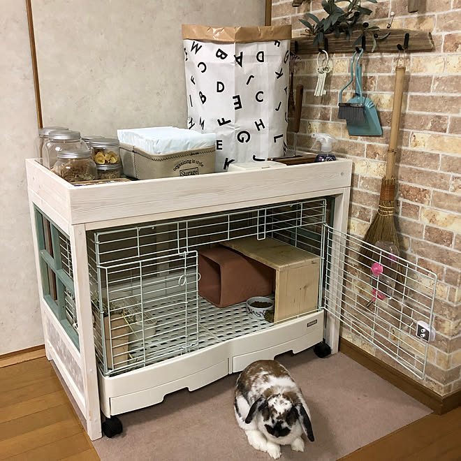 プラスチックボトル ペーパーバッグ収納 ストレージボックス ケージ上収納diy うさぎと暮らす などのインテリア実例 19 07 29 14 47 30 Roomclip ルームクリップ プラスチックボトル ペーパーバッグ収納 ストレージボックス ケージ上収納diy うさぎと暮らす などのインテリア実例 19 07 29 14 47 30 Roomclip ルームクリップ